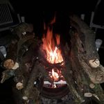 Joyce Ward - @joyceward337 - Instagram
