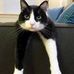 Joyce Ward - Facebook