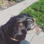 Joyce Ward - @joyce.ward.7311 - Instagram