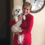 joyce warner couch - @joyce.w.c - Instagram