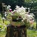 Joyce Wertz - Facebook
