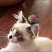 Joyce Wester - Facebook