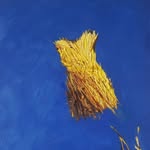 Joyce Westerink Art - @joycewesterink.art - Instagram