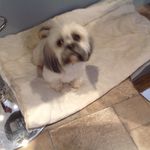 Margery Joyce Wheaton - @margeryjoycewheaton - Instagram