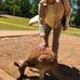 Joyce Wheatley - Facebook