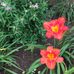 Joyce Whiteside - Facebook