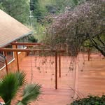Joyce Whitman - @joyce.whitman.7 - Instagram