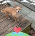 Joyce Whitman - Facebook