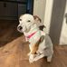Joyce Whitmore - Facebook