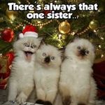 Joyce Whitmore Olsen - @joyce.w.olsen - Instagram