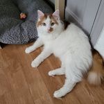 Joyce Wicke - @joycewicke - Instagram