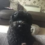 Joyce Wickens - @joycewickens - Instagram