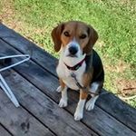 Joyce Wickman - @joycewickman - Instagram