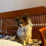 Joyce Ann Lehman-Wickert - @joyce.wickert - Instagram
