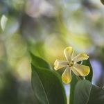 @joycelynwicker - Instagram