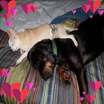 Joyce Wiegand Perucki - @joycewiegandperucki - Instagram