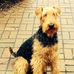 Joyce Wikoff - Facebook