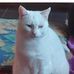 Joyce Wille - Facebook