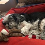 Joyce Windham Nagle - @joyceenagle - Instagram