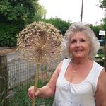 Joyce Windsor - @joycesteyning - Instagram