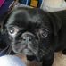 Joyce Winkle - Facebook