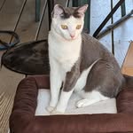 Joyce Winkleman - @joyce.winkleman - Instagram