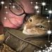Joyce Winkler - Repmann - Facebook