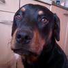 joycewinkler736 - @ksp.jyc - TikTok