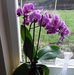Joyce Wintersteen - Facebook