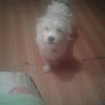 Joyce wisdom @yahoo. com - @joycewisdom2 - Instagram