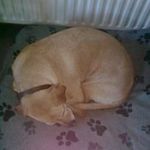 Joyce Wise - @joycewise1410 - Instagram