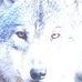 Joyce Wolf - Facebook