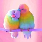 Joyce wolfe - @joycewol6 - Instagram