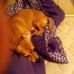 Joyce Wolfe - Facebook