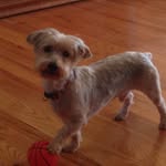 Joyce Ann Workman Lindberg - @myrtiebarberis - Instagram