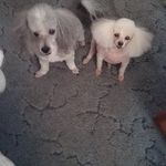Joyce Worley - @joylane059 - Instagram