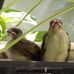 Joyce Yip - Facebook