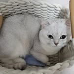Joyce Yip - @joyce.yip.5477 - Instagram