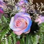 Joyce A Yoder - @joyceayoder - Instagram