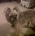 Joyce Yoder - Facebook