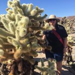 Joyce Yoder - @sagetendril - Instagram