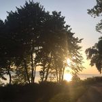 Joyce Yoder Bisbee - @joycebisbee - Instagram