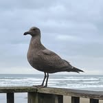 John Patrick Adams - @j.p.adams - Instagram