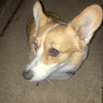 Jp Carlson - @jp_carlson - Instagram
