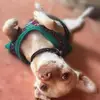 Jp Esquivel - @jp.esquivel6 - TikTok