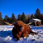 Jean-Pierre Hamel - @jphamel26 - Instagram