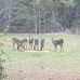 JP Jones - Facebook