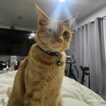 Jp Jones - @jehpii - Instagram
