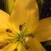 JP Jones - Facebook