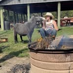 Jp Miller - Facebook